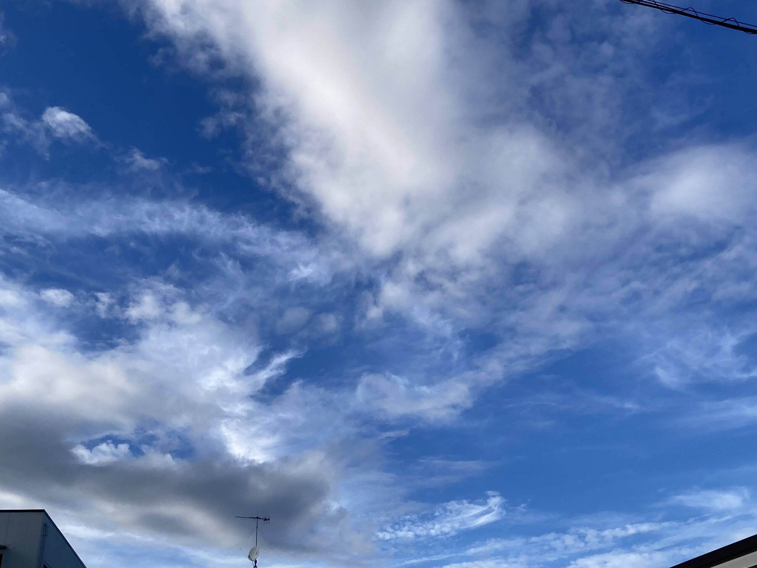 2. 十分な運動をしましょう