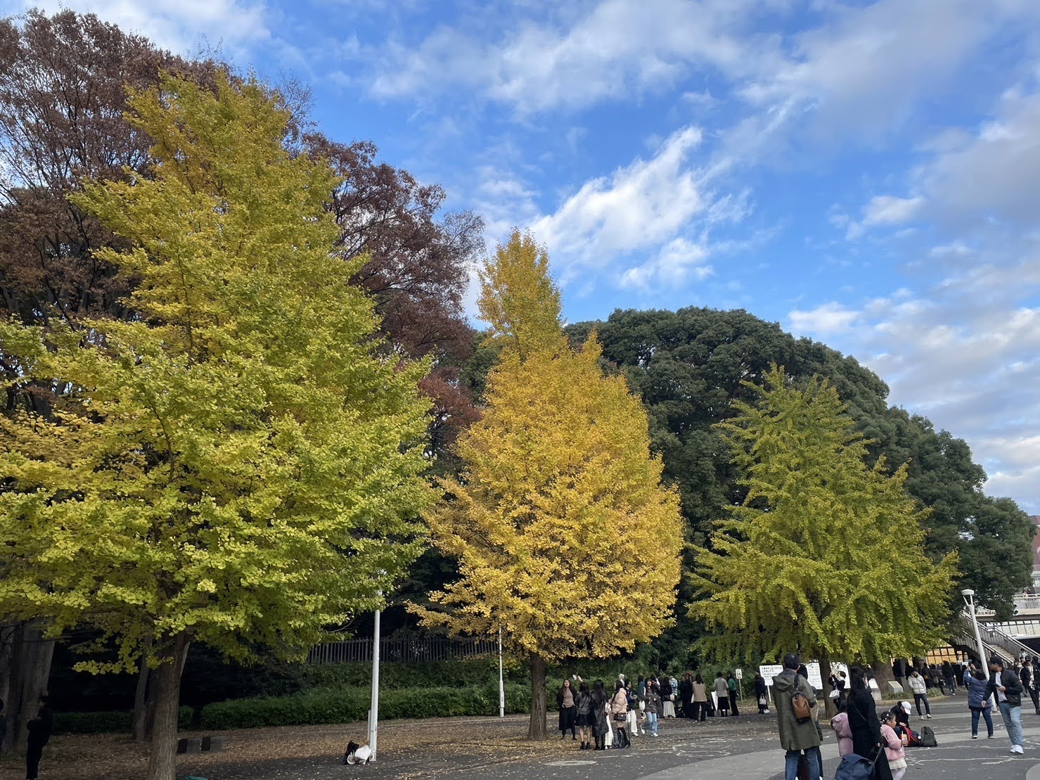 3. 温冷療法を利用する